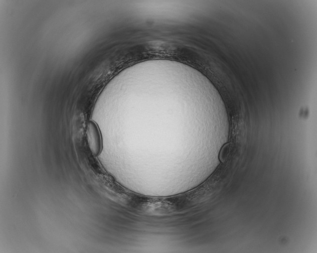 X0000111440752200907271129