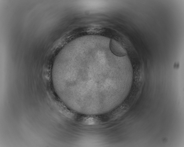 X0000111440755200907271129