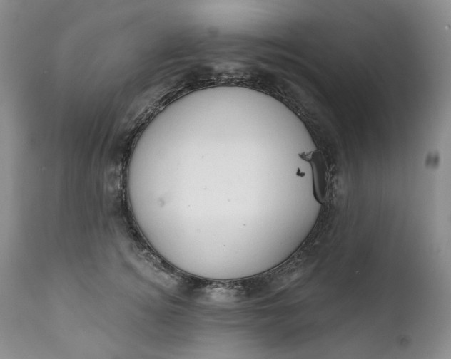 X0000111440756200907271129