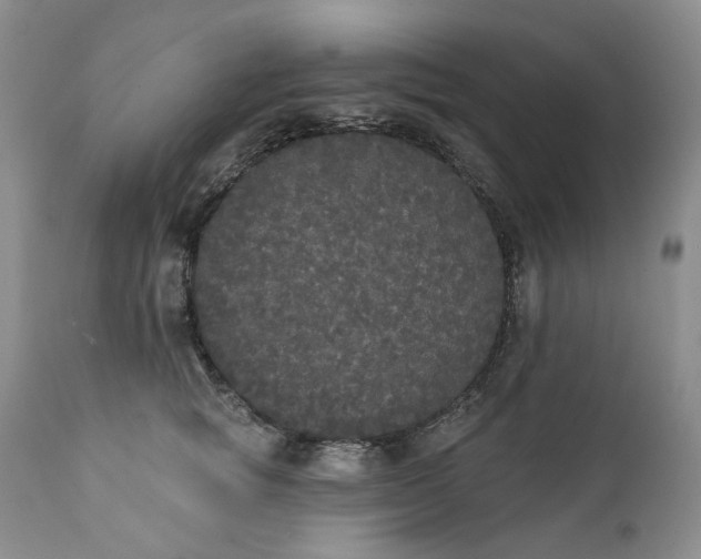 X0000111440757200907271129