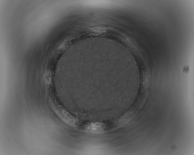 X0000111440758200907271129