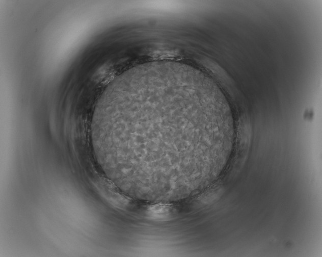 X0000111440761200907271129