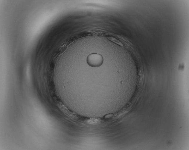 X0000111440762200907271129