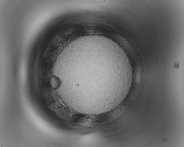 X0000111440764200907271129