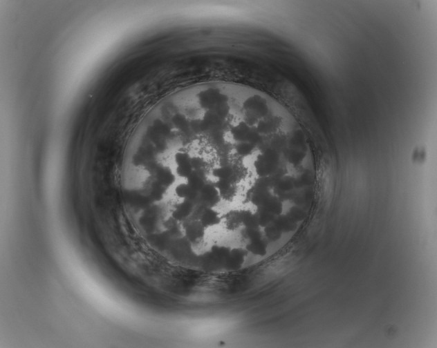 X0000111440765200907271129