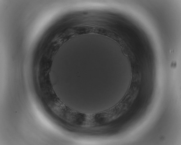 X0000111440766200907271129