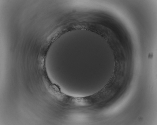 X0000111440767200907271130