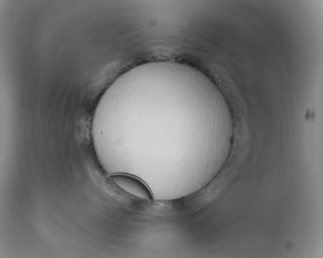 X0000111440768200907271130