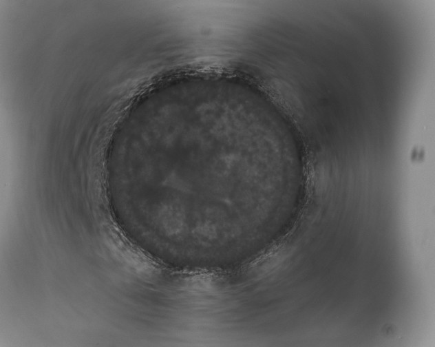 X0000111440769200907271129