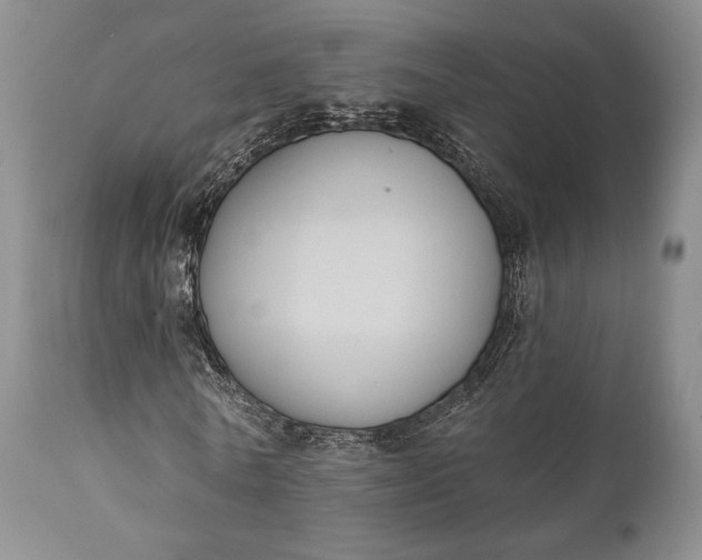 X0000111440770200907271129