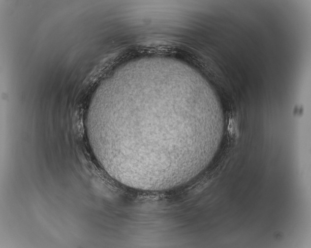 X0000111440771200907271128