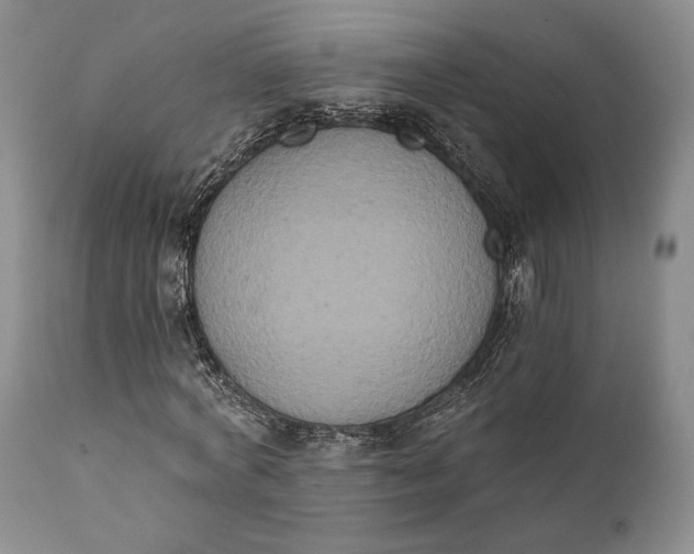 X0000111440772200907271128