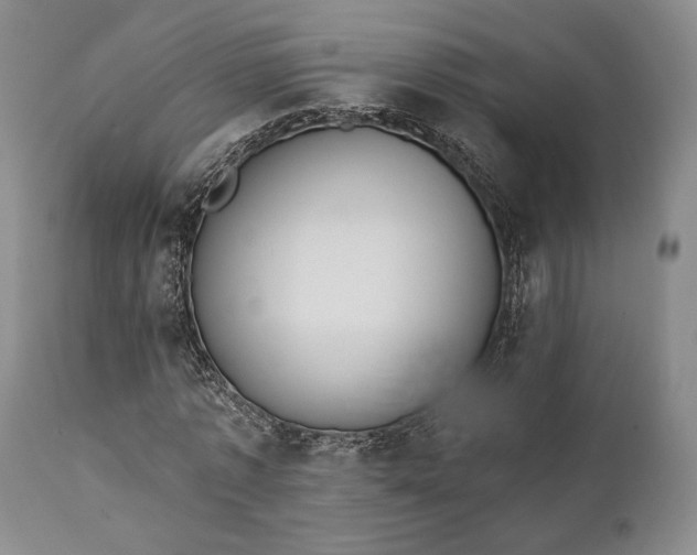 X0000111440773200907271128