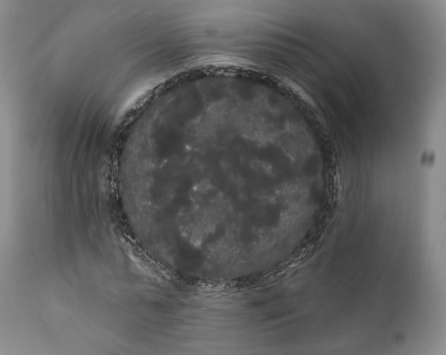 X0000111440775200907271128