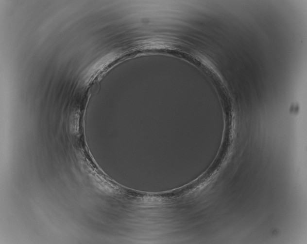 X0000111440777200907271128