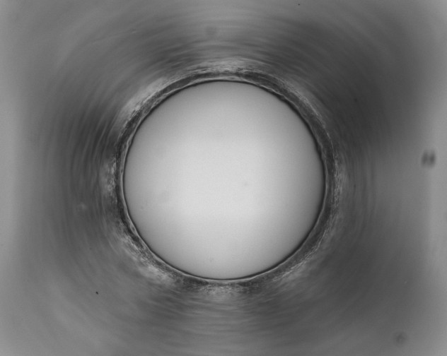 X0000111440778200907271128