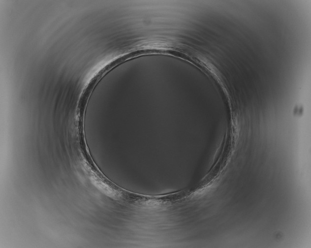 X0000111440779200907271128