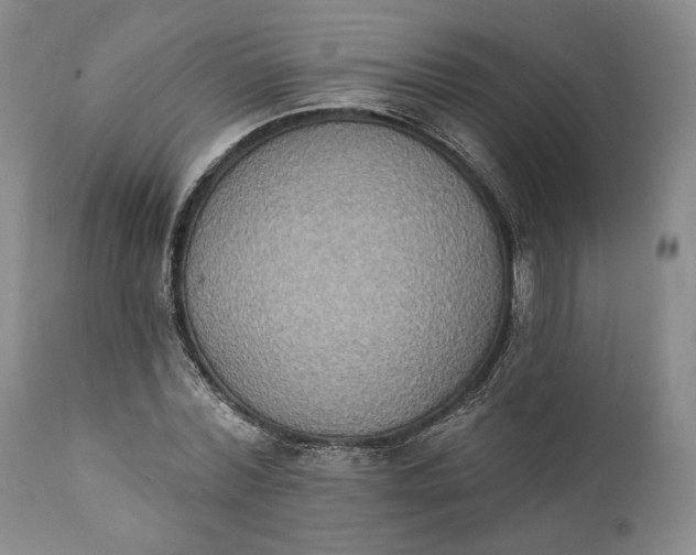 X0000111440780200907271128