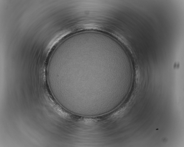 X0000111440782200907271128