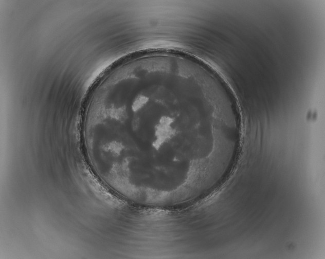 X0000111440783200907271128