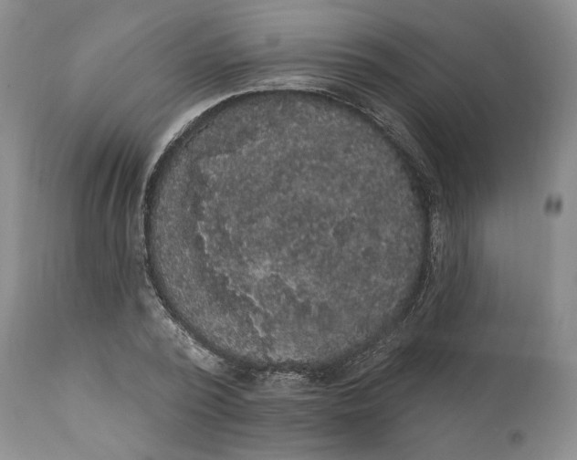 X0000111440784200907271128