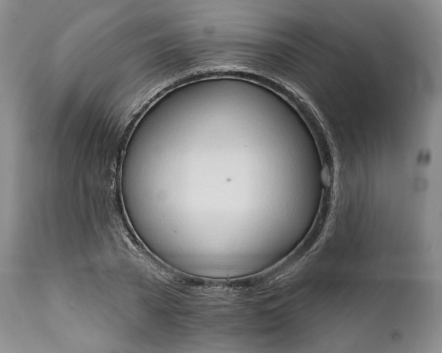 X0000111440785200907271128