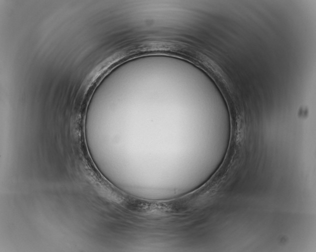 X0000111440786200907271128