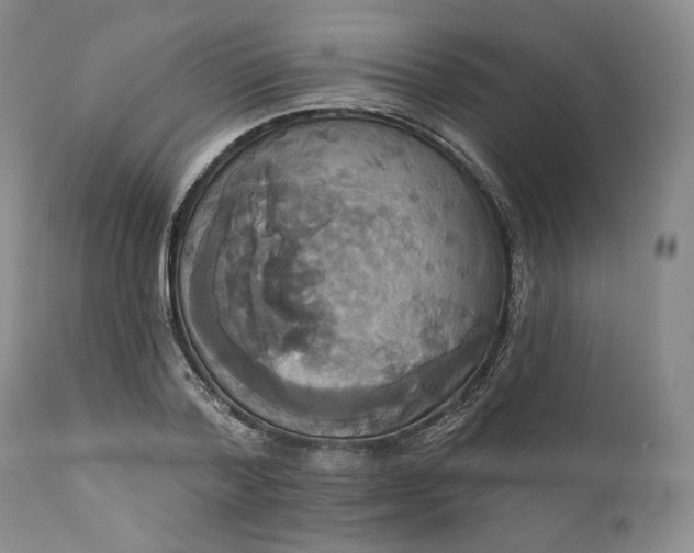 X0000111440788200907271128