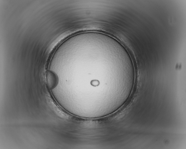 X0000111440789200907271128