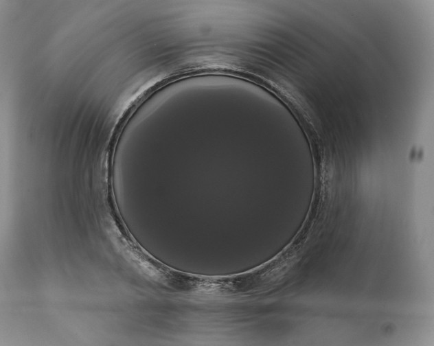 X0000111440790200907271128