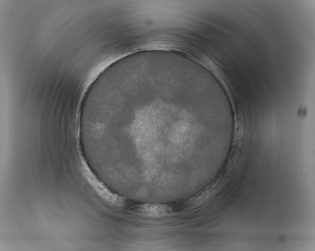 X0000111440795200907271128