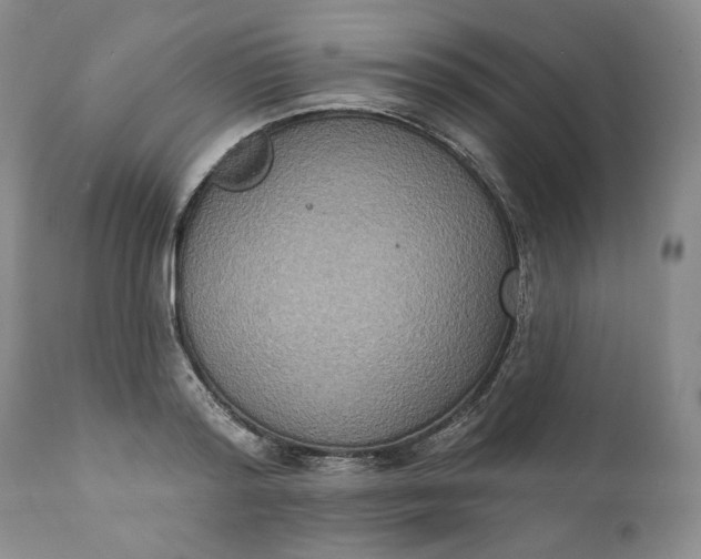 X0000111440796200907271128