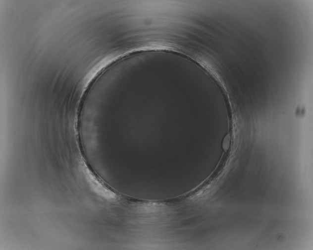 X0000111440797200907271128