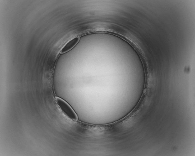 X0000111440801200907271128