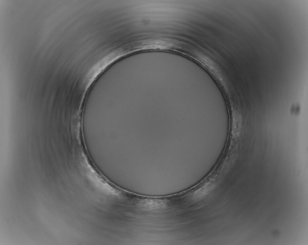 X0000111440802200907271128