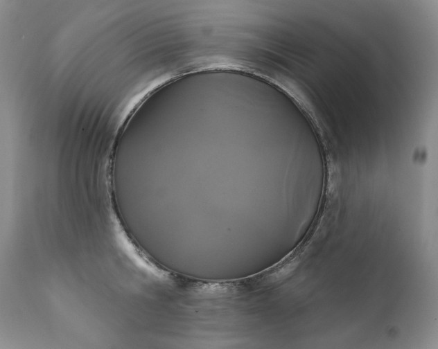 X0000111440806200907271128