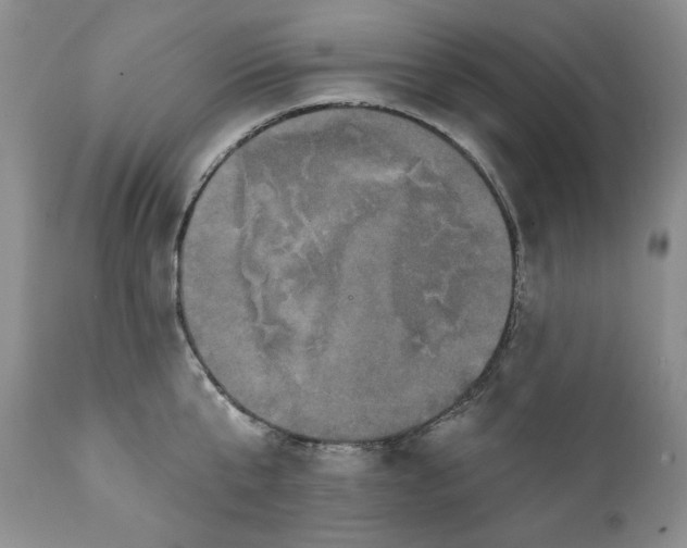 X0000111440807200907271128