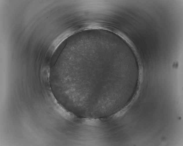 X0000111440809200907271128