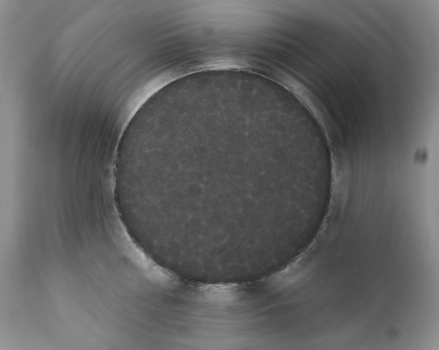 X0000111440810200907271128