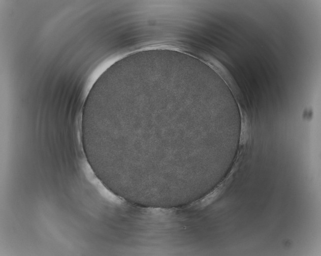 X0000111440812200907271128