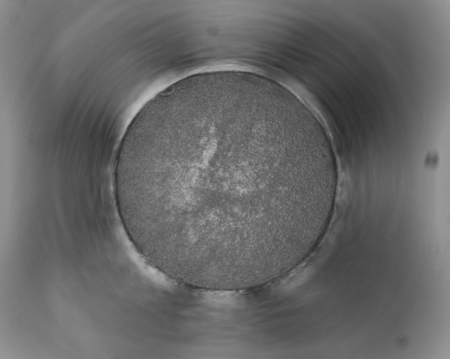 X0000111440813200907271128