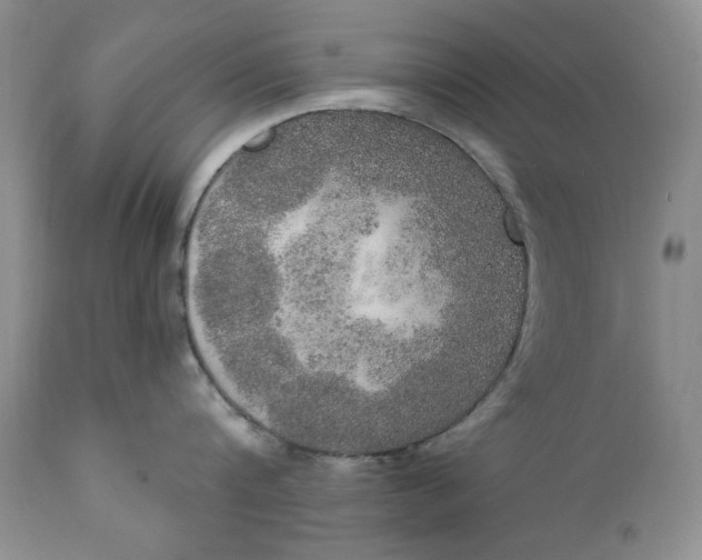 X0000111440816200907271128