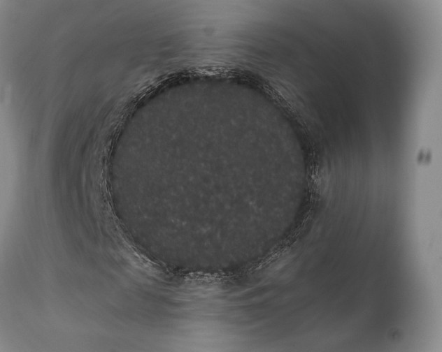 X0000111440817200907271127