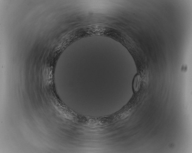 X0000111440818200907271127