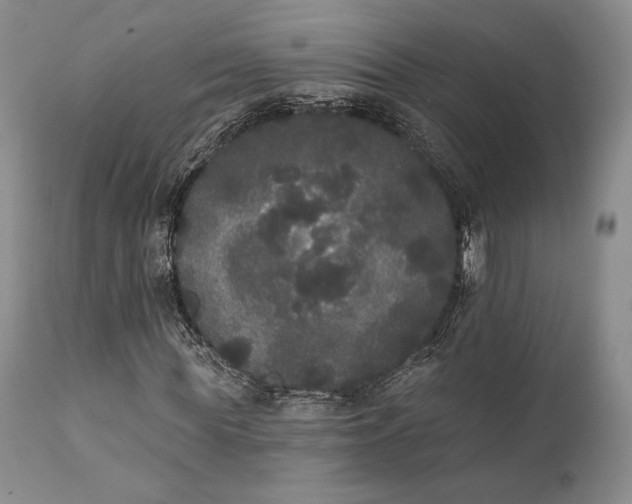 X0000111440819200907271127