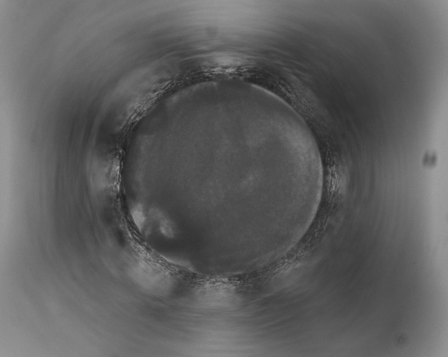 X0000111440820200907271127