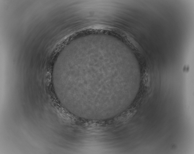 X0000111440821200907271127