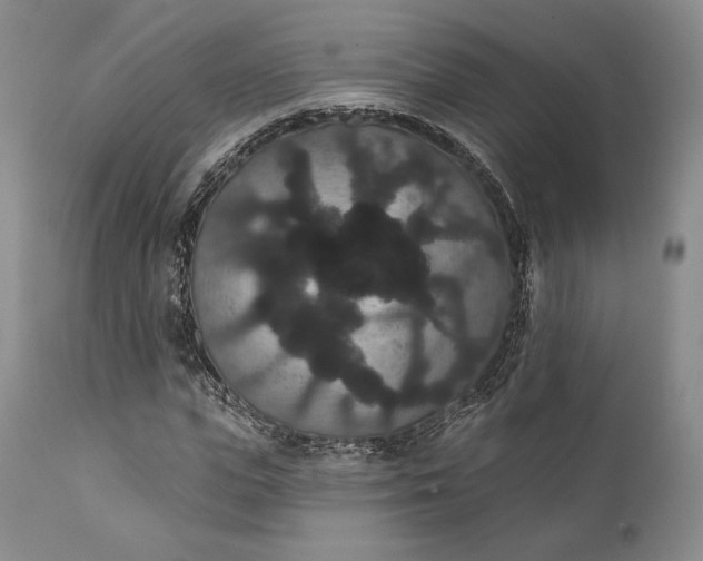 X0000111440823200907271127