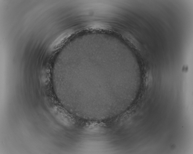 X0000111440824200907271127