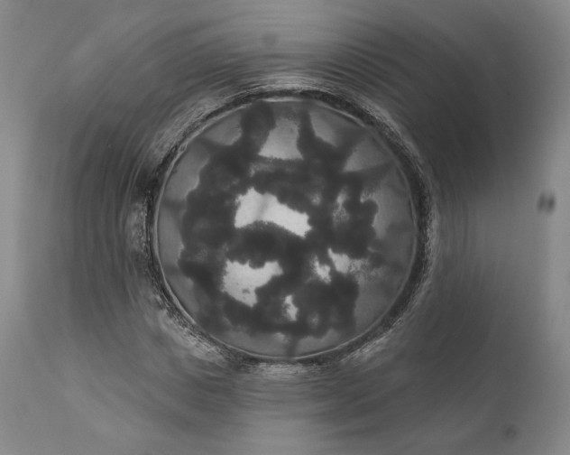 X0000111440825200907271127